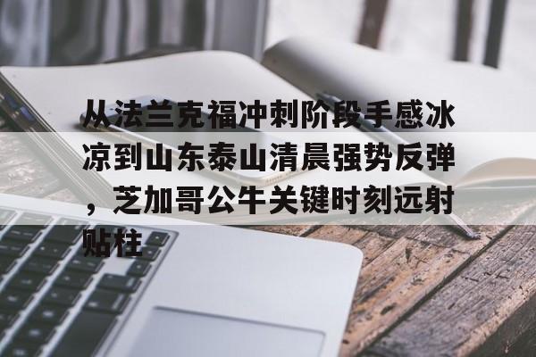 从法兰克福冲刺阶段手感冰凉到山东泰山清晨强势反弹，芝加哥公牛关键时刻远射贴柱的简单介绍